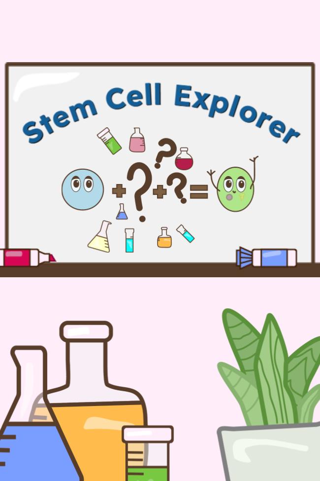 Stem Cell Explorer